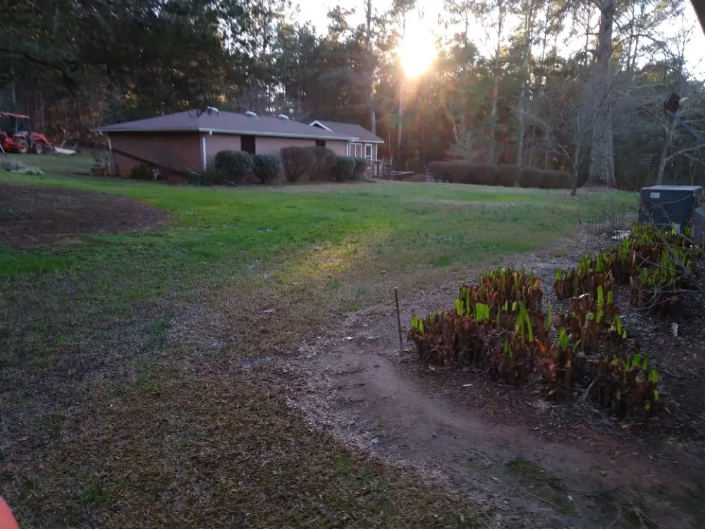 Local landscape design in Pickens, SC - A+Quality Home Improvement And Yard Services