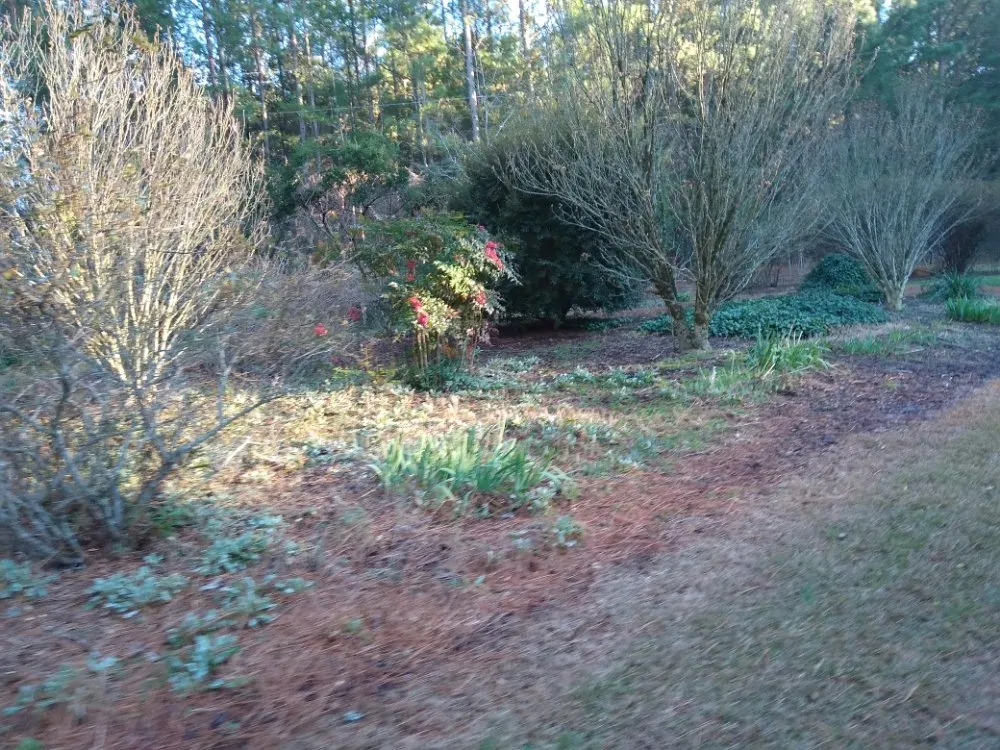 Reliable lawn mowing service with custom design across Pickens, SC - A+Quality Home Improvement And Yard Services