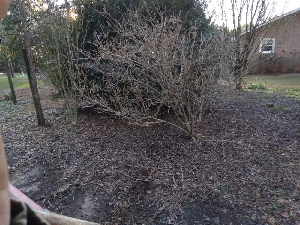 Custom lawn care service near you in Pickens, SC by A+Quality Home Improvement And Yard Services