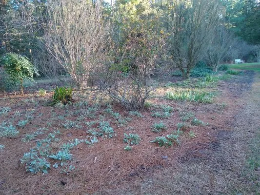 A+Quality Home Improvement And Yard Services