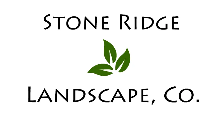 Trusted landscaping services in Bullard, TX - Aqualux Pools