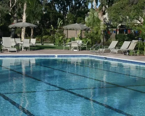 Trusted garden landscaping in Huntington Beach, CA - Aquapure Pools