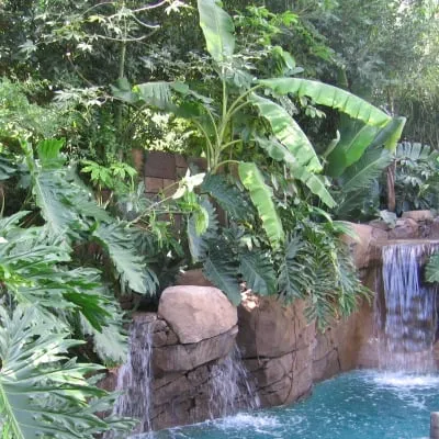 Custom yard maintenance experts serving Huntington Beach, CA - Aquapure Pools