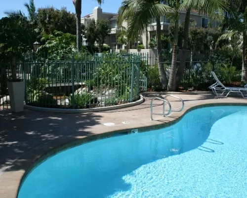 Professional yard maintenance experts serving Huntington Beach, CA - Aquapure Pools