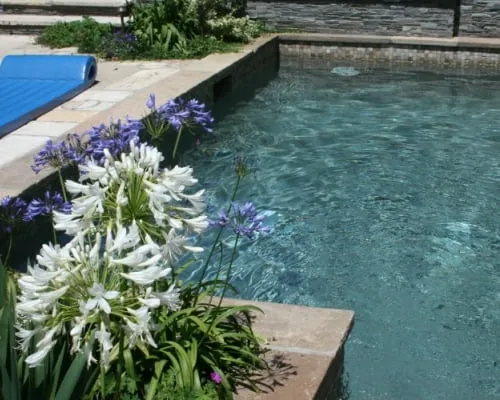 Custom landscape installation for year-round maintenance in Huntington Beach, CA by Aquapure Pools