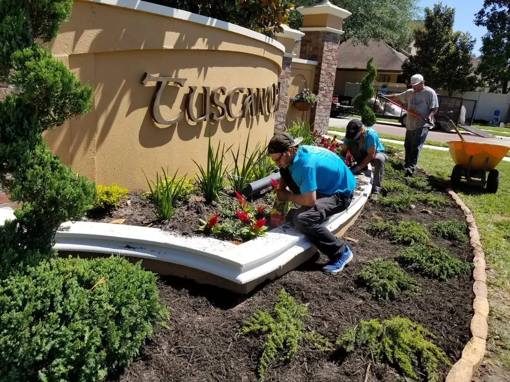 Trusted yard maintenance in Orange Park, FL - Aquarian Landscaping