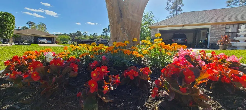 Expert landscaping services for beautiful yards across Orange Park, FL - Aquarian Landscaping