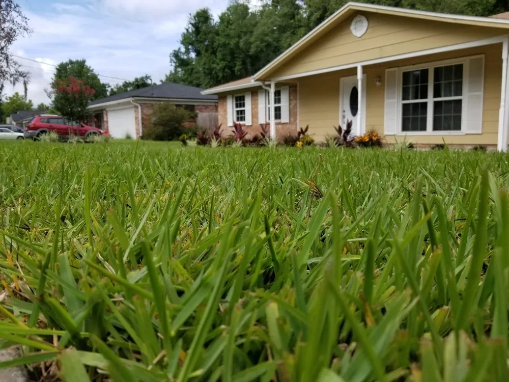 Trusted outdoor landscaping in Orange Park, FL - Aquarian Landscaping