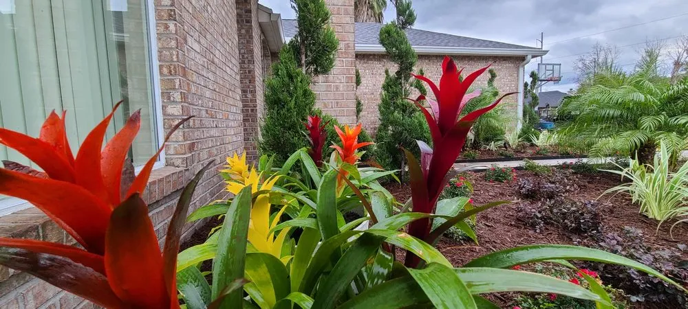 Reliable landscape installation experts serving Orange Park, FL - Aquarian Landscaping