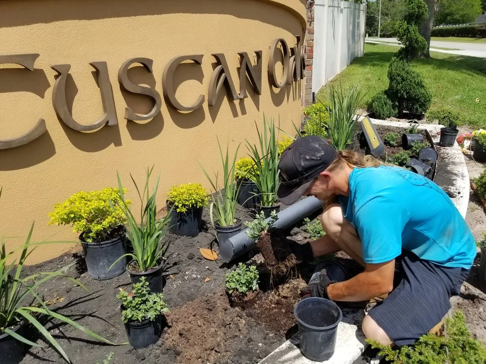 Custom landscape design in Orange Park, FL by Aquarian Landscaping