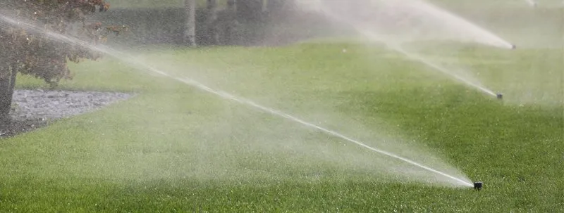 Custom landscape design in Lubbock, TX - Aquarius Sprinklers