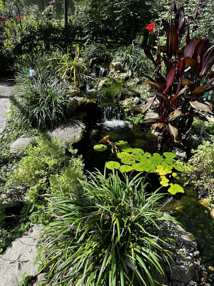 Expert lawn care service experts serving De Leon Springs, FL - Aquasam’s Koi Ponds and More