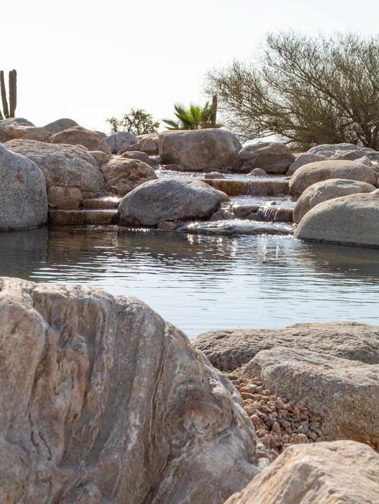 Reliable yard cleanup service in Tracy, CA - Aquascape Creations