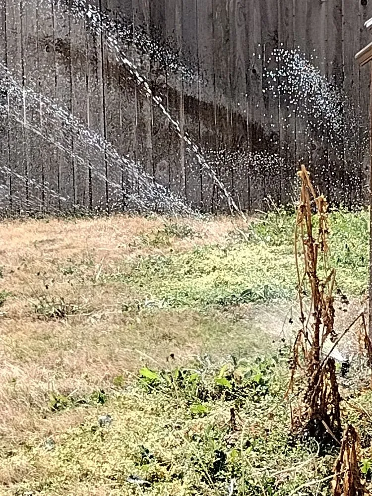 Trusted landscape design for residential properties across San Antonio, TX - Aquascapes