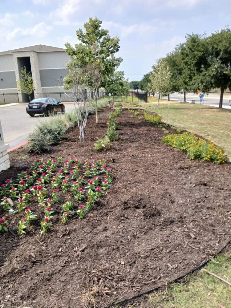 Expert landscape installation experts serving San Antonio, TX - Aquascapes