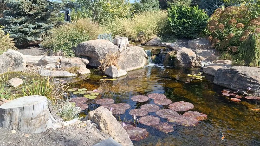Professional landscape design in Nampa, ID - Aquascaping Idaho