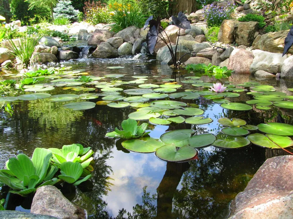 Reliable lawn mowing service for homes in Hawthorn Woods, IL by Aquastonia