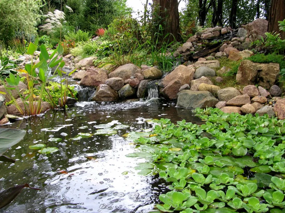 Custom landscape design experts serving Hawthorn Woods, IL - Aquastonia