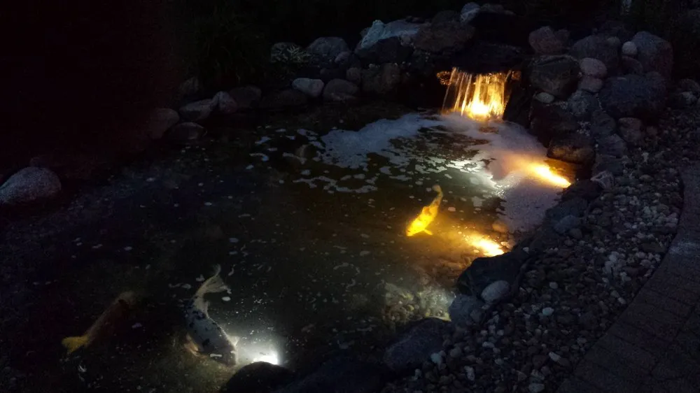 Local lawn care service experts serving Hawthorn Woods, IL - Aquastonia