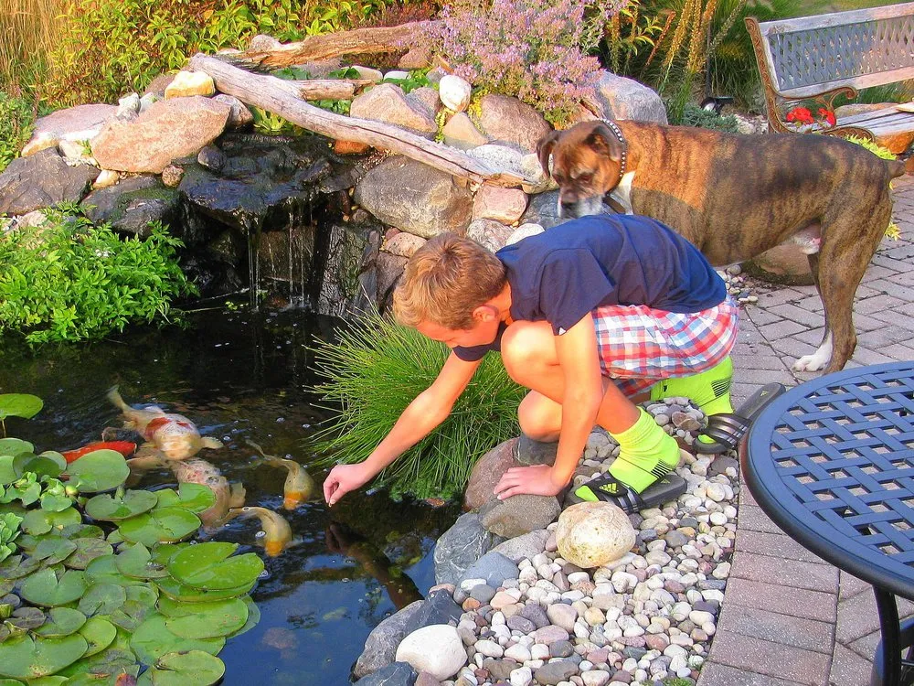 Trusted outdoor landscaping in Hawthorn Woods, IL by Aquastonia