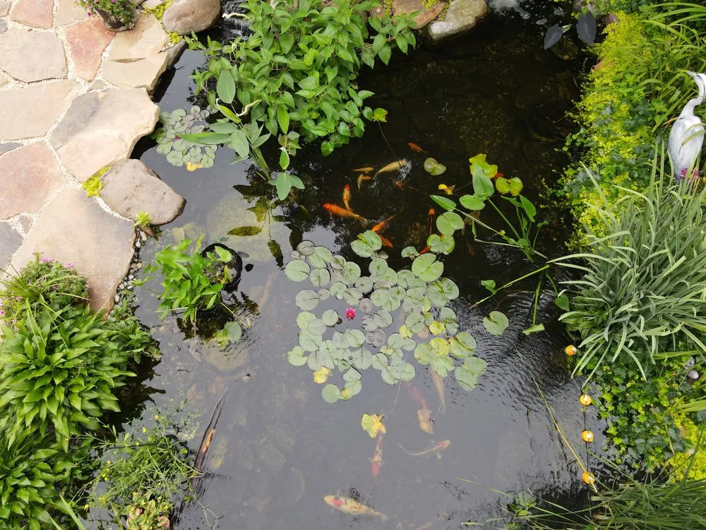 Local landscape design in Lehighton, PA by Aquastyle Creations