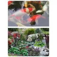 Top-rated lawn care service in Ann Arbor, MI - Aquatec Ponds