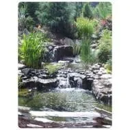 Custom yard maintenance in Ann Arbor, MI by Aquatec Ponds