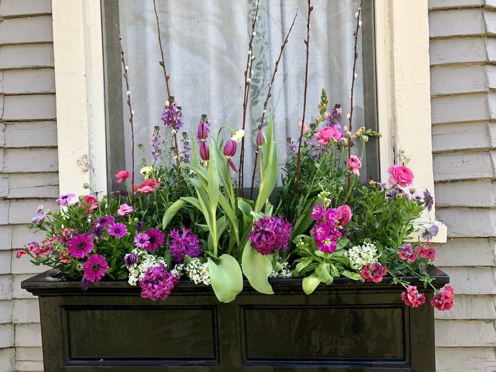 Affordable lawn care service in Beach Park, IL by Aquaterra Landscaping