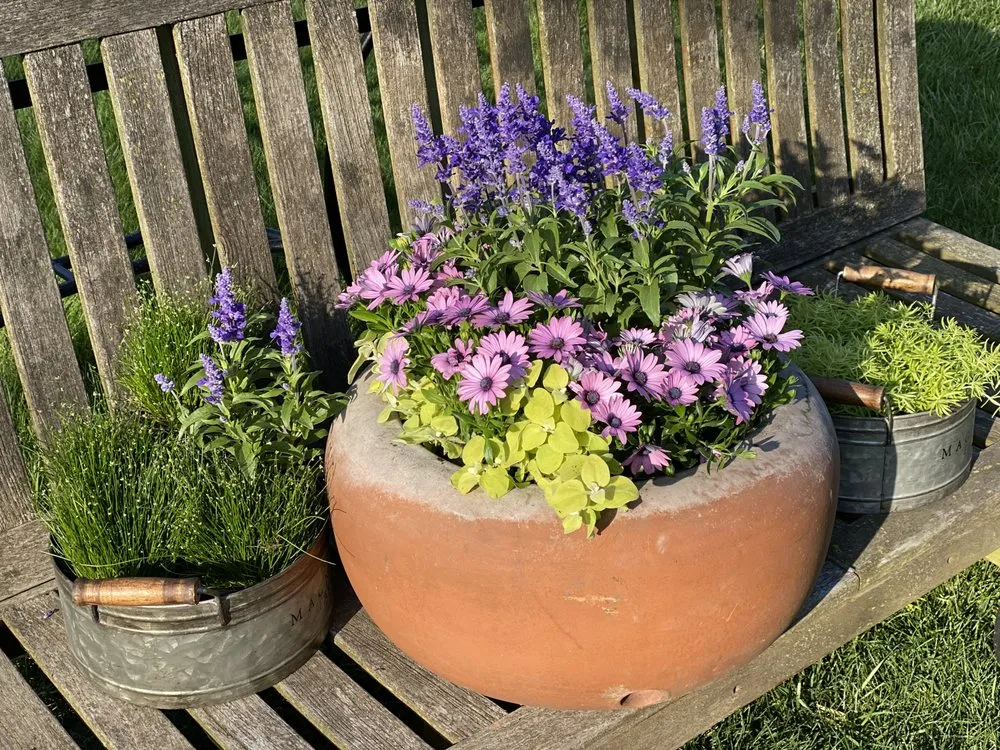 Professional landscape design experts serving Beach Park, IL - Aquaterra Landscaping