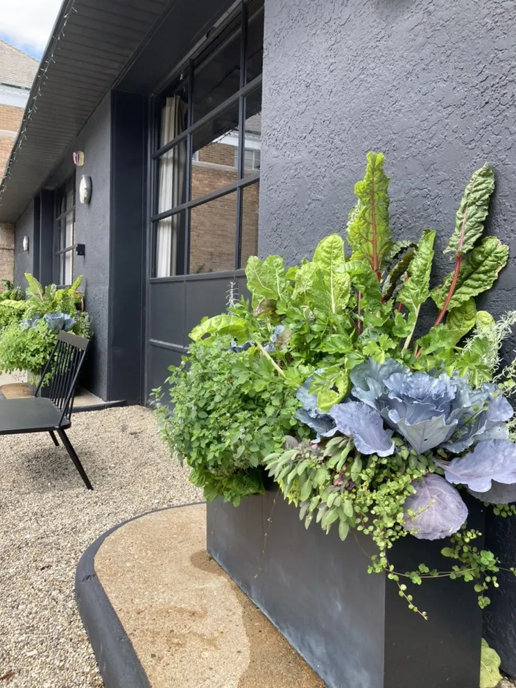 Expert yard cleanup service experts serving Beach Park, IL - Aquaterra Landscaping