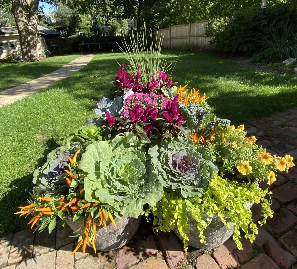 Expert lawn care service for outdoor upgrades across Beach Park, IL - Aquaterra Landscaping