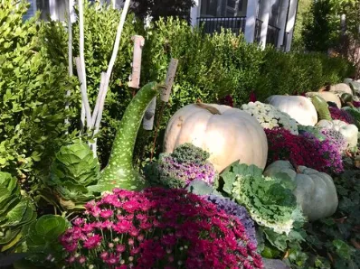 Expert yard cleanup service in Beach Park, IL by Aquaterra Landscaping