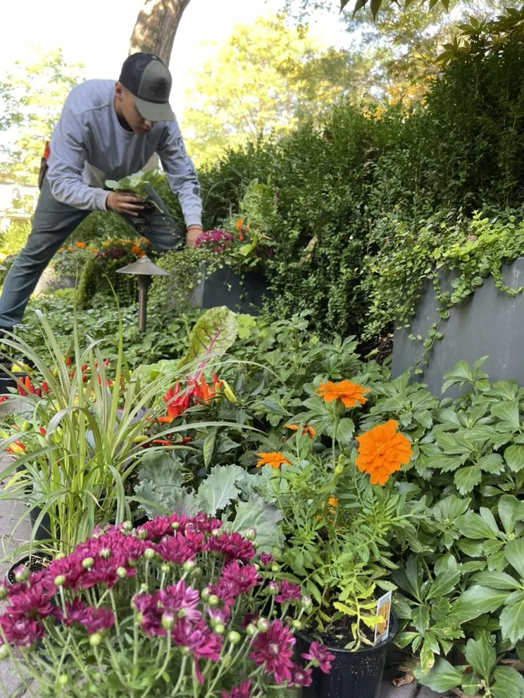 Custom lawn mowing service experts serving Beach Park, IL - Aquaterra Landscaping