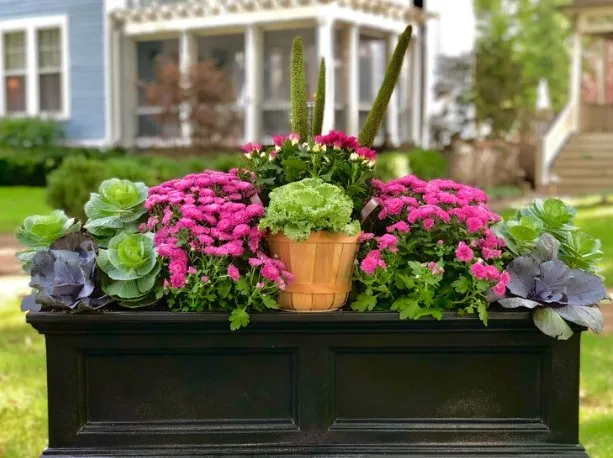 Local outdoor landscaping in Beach Park, IL - Aquaterra Landscaping