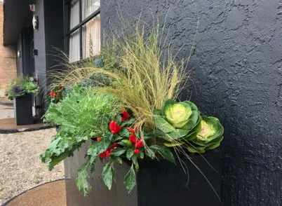 Top-rated outdoor landscaping for year-round maintenance in Beach Park, IL by Aquaterra Landscaping