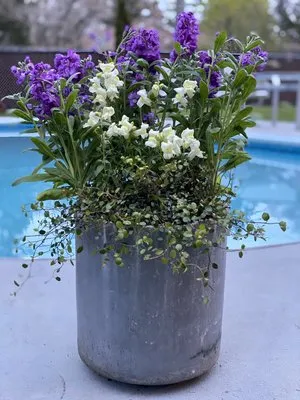 Aquaterra Landscaping Logo