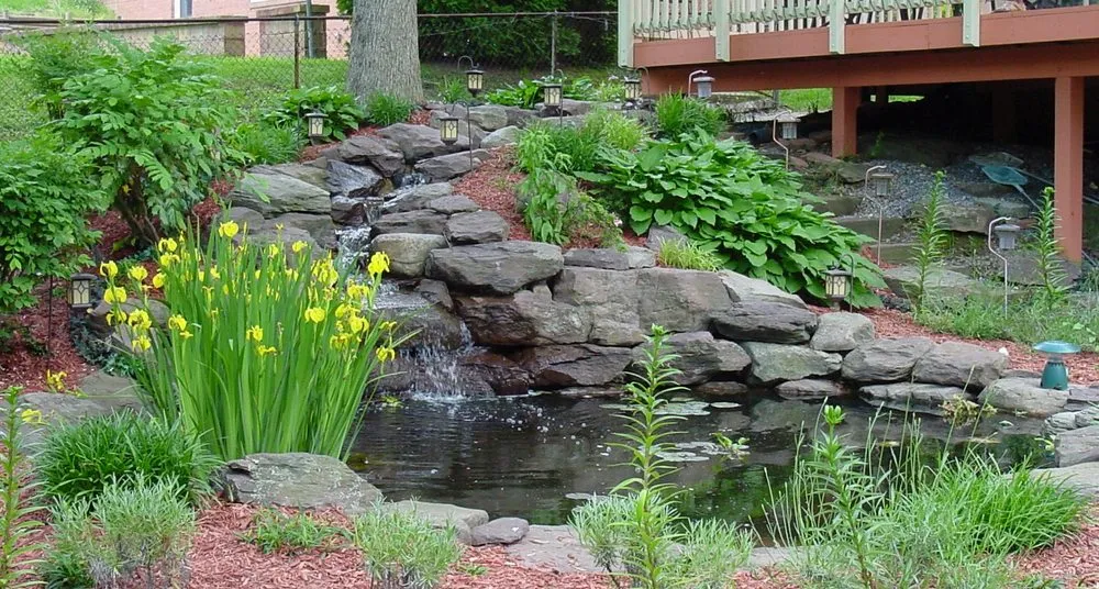 Top-rated lawn mowing service experts serving Pasadena, MD - Aquatic Artisans