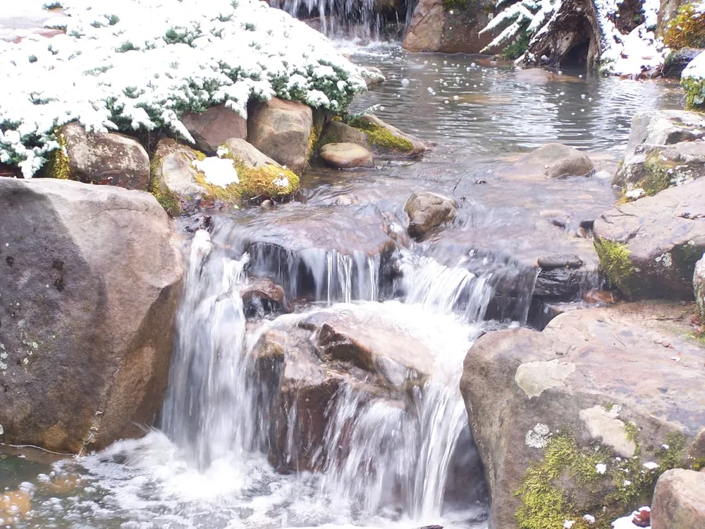 Affordable landscaping services in Grantville, GA - Aquatic Creations