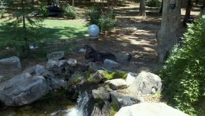 Professional garden landscaping near you in Grantville, GA by Aquatic Creations