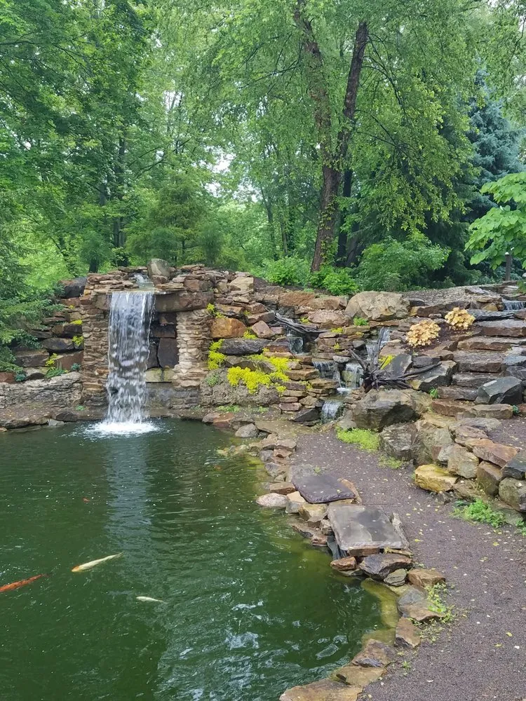 Local yard maintenance for year-round maintenance across Monrovia, IN - Aquatic Design & Supplies