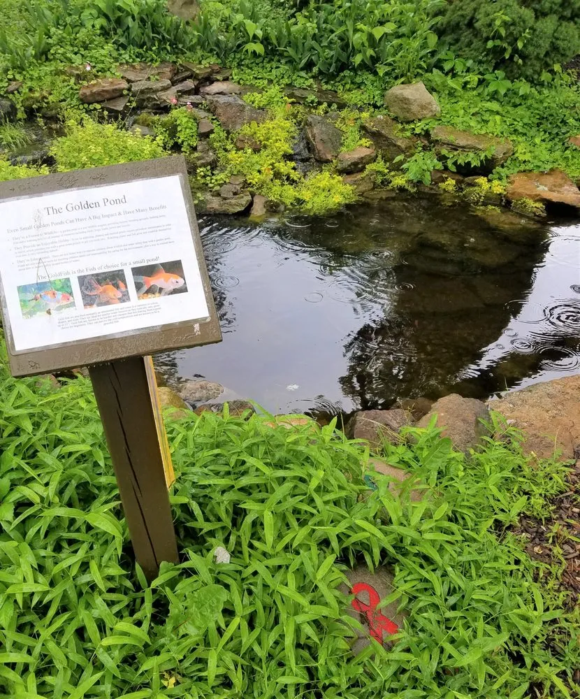 Affordable yard cleanup service for outdoor upgrades across Monrovia, IN - Aquatic Design & Supplies