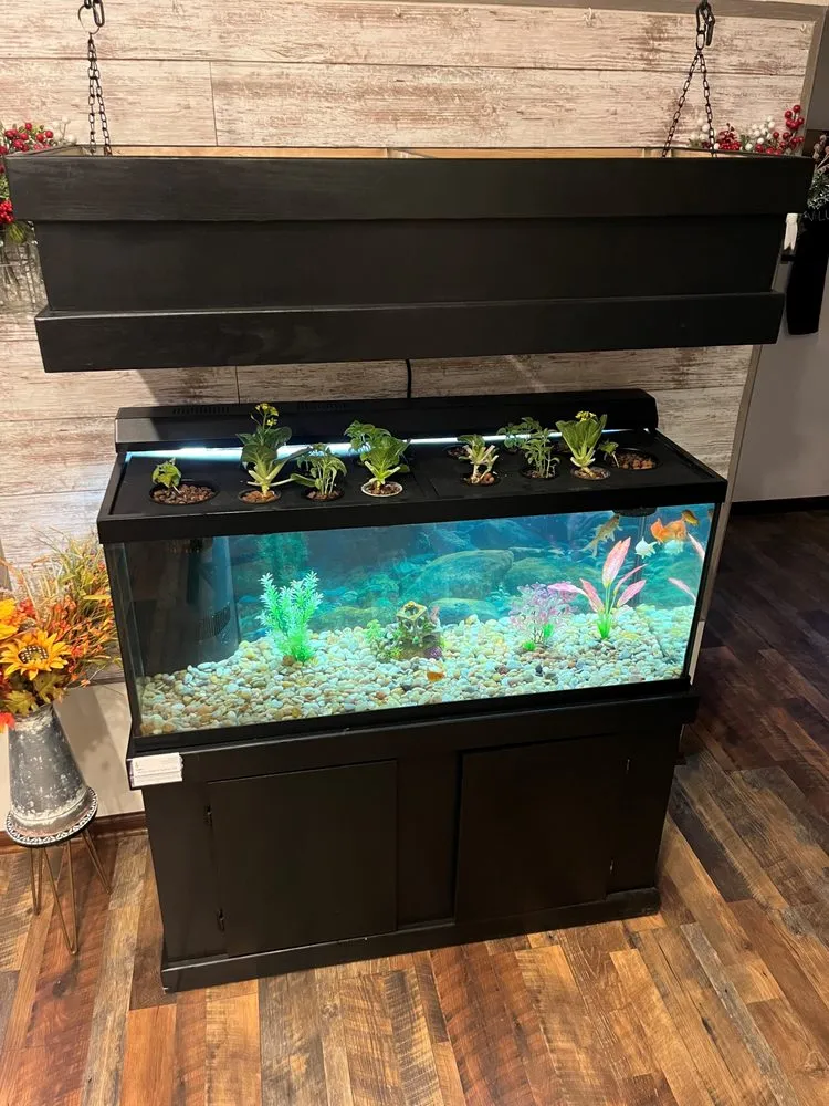 Affordable lawn mowing service for homes in Monrovia, IN by Aquatic Design & Supplies