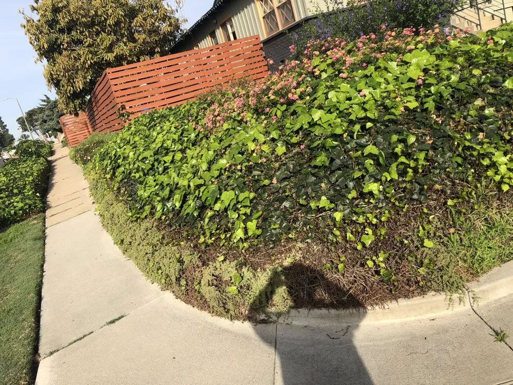 Professional landscaping services in Los Angeles, CA - Aquatic Irrigations