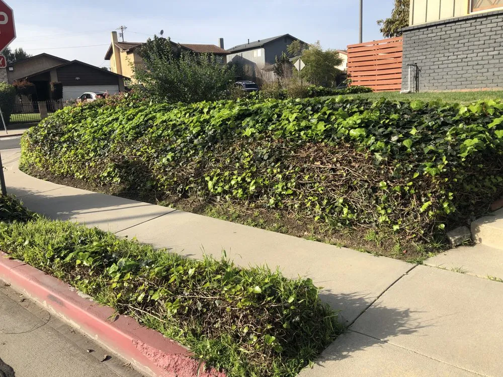 Local landscaping services near you across Los Angeles, CA - Aquatic Irrigations