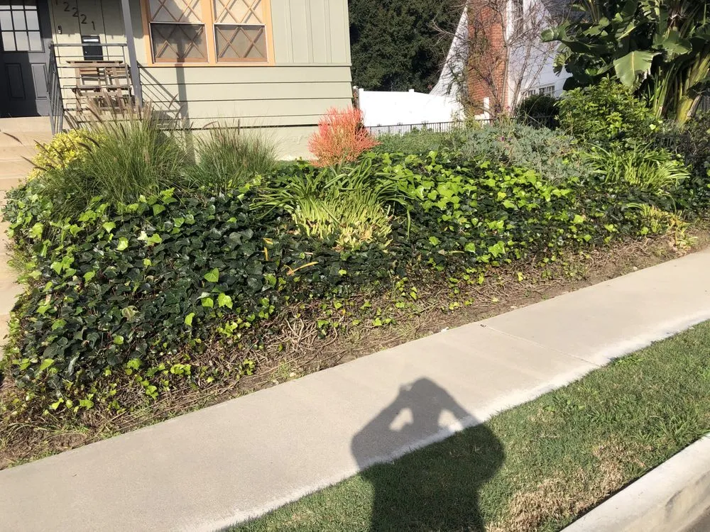 Custom yard maintenance for residential properties in Los Angeles, CA by Aquatic Irrigations