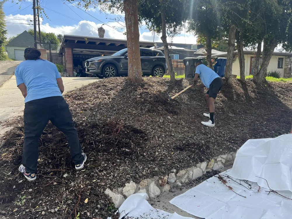 Expert landscaping services for beautiful yards in Los Angeles, CA by Aquatic Irrigations