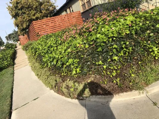 Aquatic Irrigations Logo