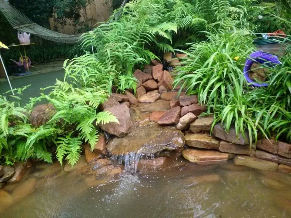 Top-rated residential landscaping near you across Houston, TX - Aquatic Landscaping & Outdoor Design