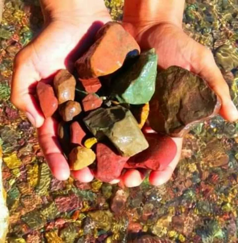 Professional lawn mowing service in Houston, TX - Aquatic Landscaping & Outdoor Design