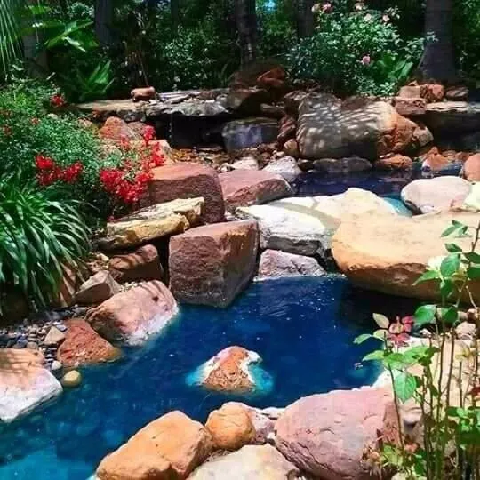 Trusted outdoor landscaping for year-round maintenance in Houston, TX by Aquatic Landscaping & Outdoor Design